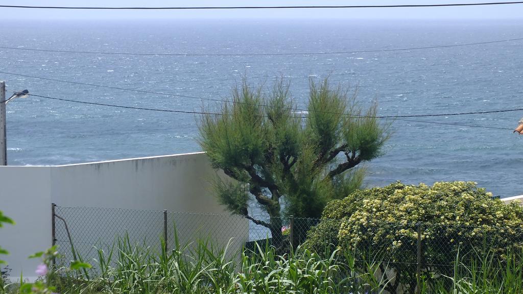 Santa Cruz ocean studio Exterior foto